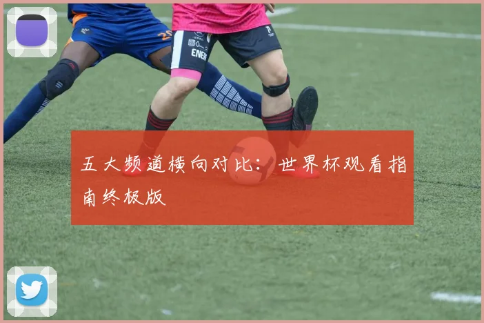 五大频道横向对比：世界杯观看指南终极版