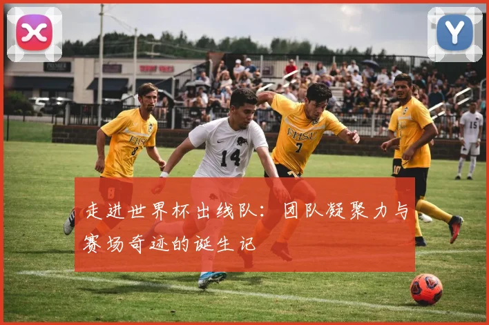 走进世界杯出线队：团队凝聚力与赛场奇迹的诞生记